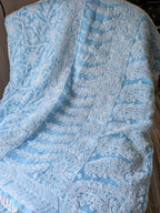 Blue Full Jaal Saree